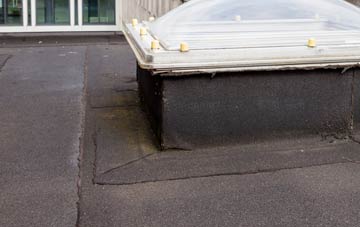 disadvantages of Ceos flat roofs